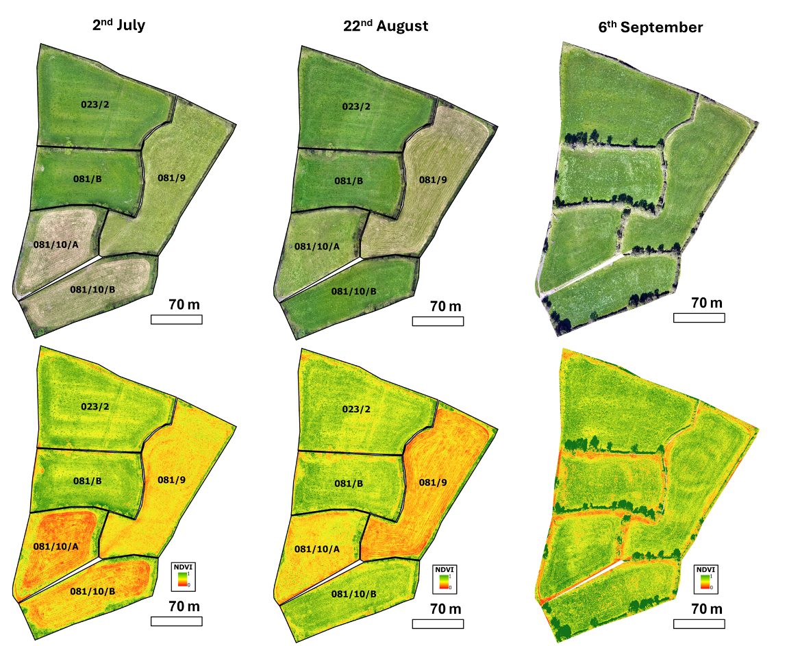 Drone Imagery Resolution